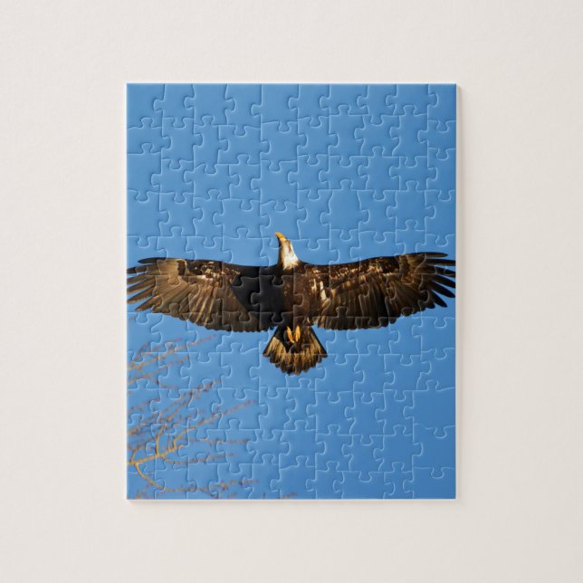 Bald Eagle Soaring1 Jigsaw Puzzle (Vertical)