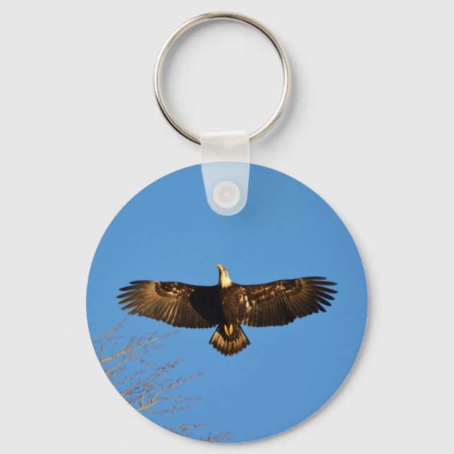 Bald Eagle Soaring1 Key Ring (Front)