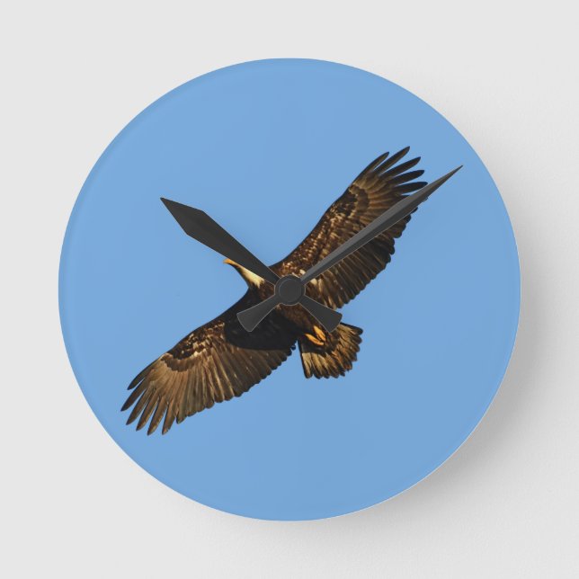 Bald Eagle Soaring 2 Round Clock (Front)