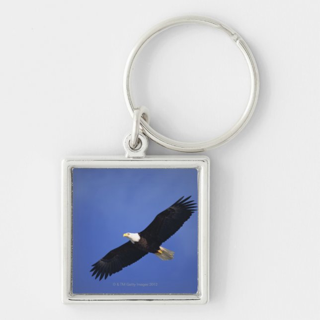 Bald eagle soaring , Alaska Key Ring (Front)