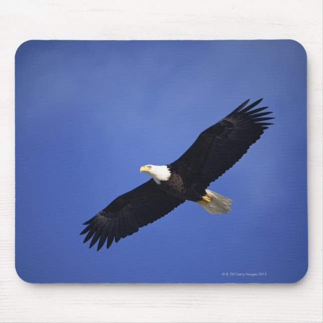 Bald eagle soaring , Alaska Mouse Pad (Front)