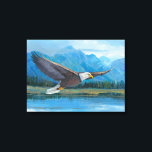 Bald Eagle Soaring Canvas Print<br><div class="desc">Bald Eagle Soaring Artist: Tim OToole</div>