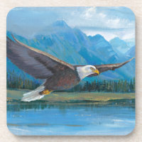 Bald Eagle Soaring