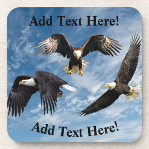 Bald Eagle Soaring Coaster