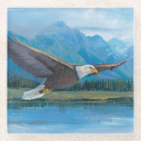 Bald Eagle Soaring