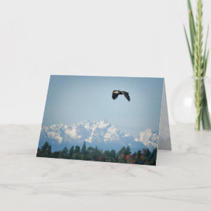 Bald Eagle Soaring Olympic Mtns All Occasion Blank Holiday Card
