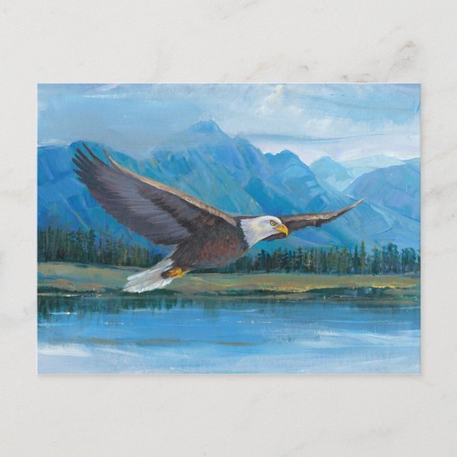 Bald Eagle Soaring Postcard (Front)