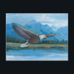 Bald Eagle Soaring Postcard<br><div class="desc">Bald Eagle Soaring Artist: Tim OToole</div>