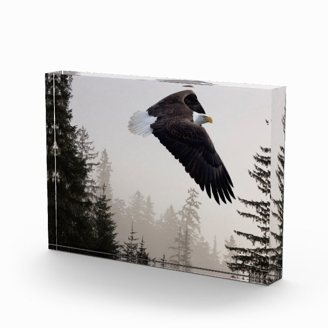 Bald Eagle Soaring Through Mist Photo Block (Right)