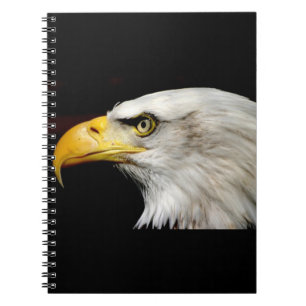 Bald Eagle Spiral Notebook