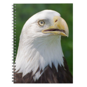 Bald Eagle Spiral Notebook