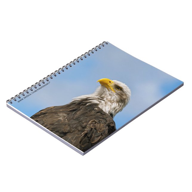 Bald Eagle Spiral Notebook (Left Side)