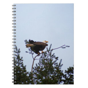 Bald Eagle Spiral Notebook