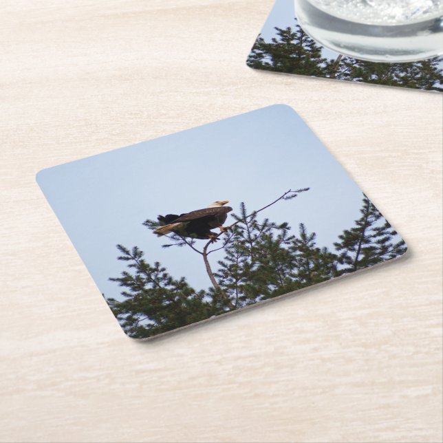 Bald Eagle Square Paper Coaster (Angled)
