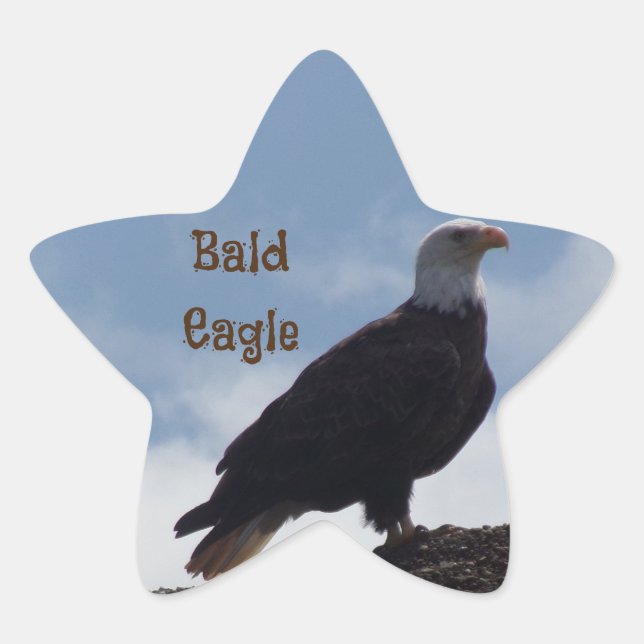 Bald Eagle Star Stickers (Front)