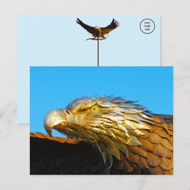 Bald Eagle Statue Postcard (Front/Back)