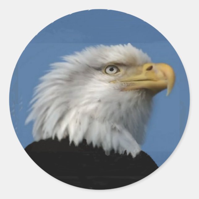BALD EAGLE-STICKER CLASSIC ROUND STICKER (Front)