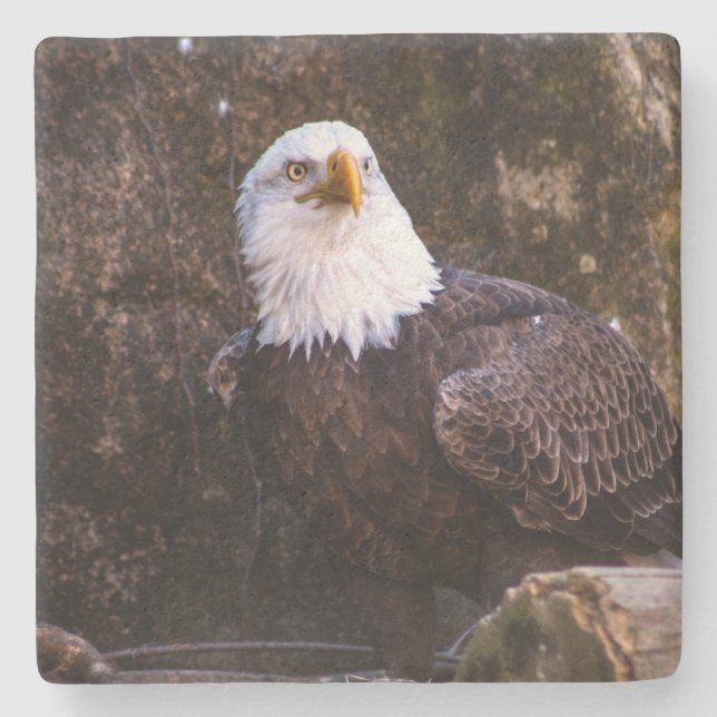 Bald Eagle Stone Coaster (Front)