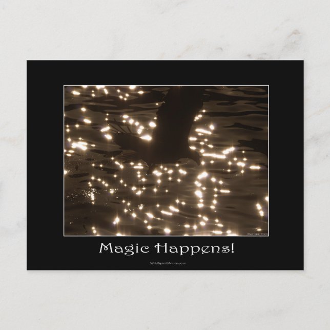 BALD EAGLE & SUNLIT WATER POSTCARD (Front)