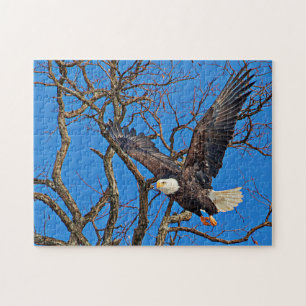Bald Eagle taking flight Jigsaw Puzzle