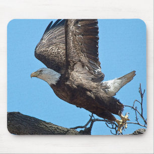 Bald Eagle taking off Mouse Pad