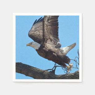 Bald Eagle taking off Napkin
