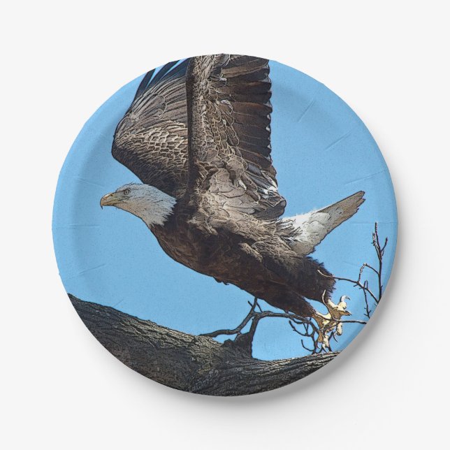 Bald Eagle taking off Paper Plate (Front)