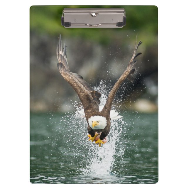 Bald Eagle The Big Catch Clipboard (Front)