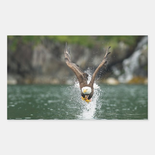 Bald Eagle The Big Catch Rectangular Sticker (Front)