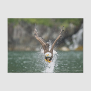 Bald Eagle The Big Catch Tissue Paper