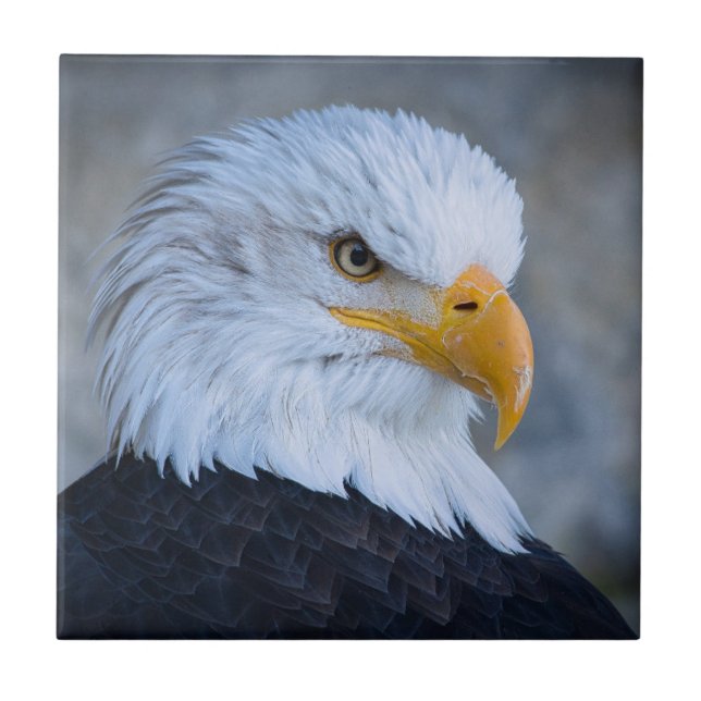 BALD EAGLE TILE (Front)