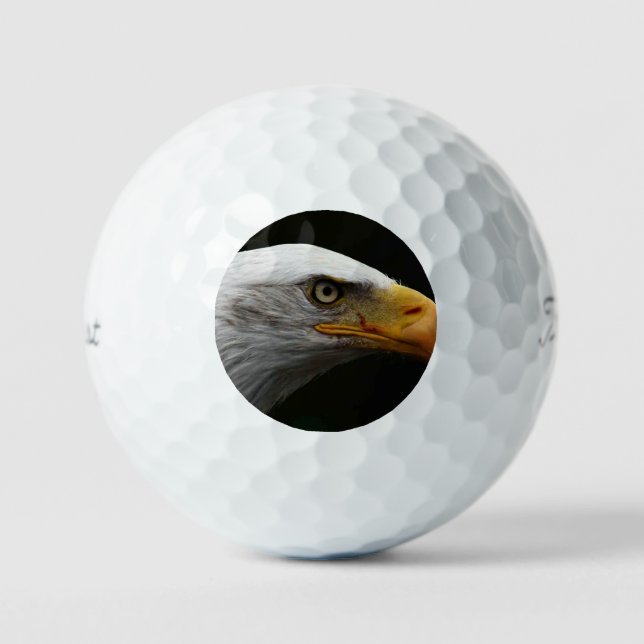 Bald Eagle tpv1 gbcnm Golf Balls (Front)