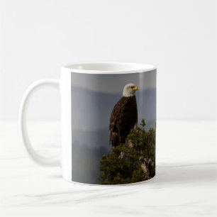 Bald Eagle Treetop - Mug