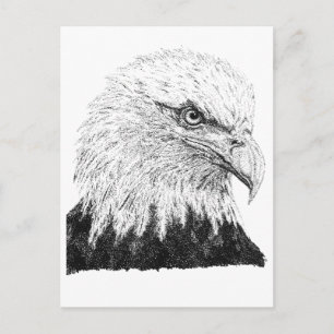 Bald Eagle USA Patriotic Black White Dot Artwork Postcard