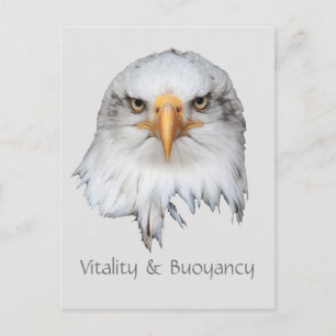 Bald Eagle Vitality & Buoyancy customisable Postcard