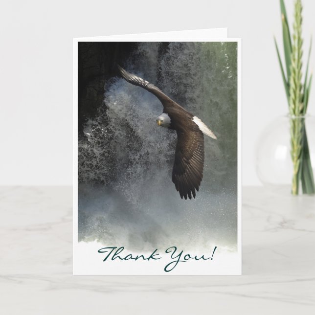 BALD EAGLE & WATER FALL Thank You Card (Front)