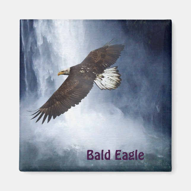 Bald Eagle & Waterfall Wildlife Nature Magnet (Front)