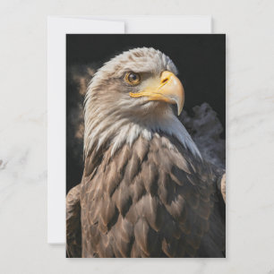 Bald Eagle Wild Animal Elegant Dramatic Portrait Announcement