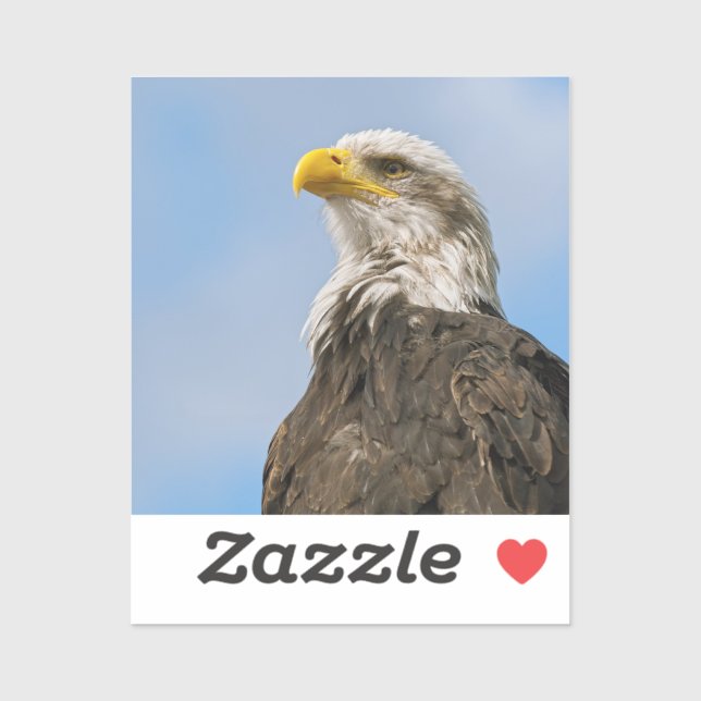 Bald Eagle Wildlife Portrait Art (Sheet)