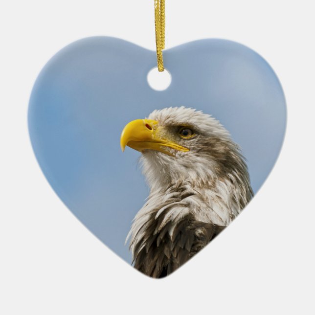 Bald Eagle Wildlife Portrait Art Ceramic Tree Decoration (Front)