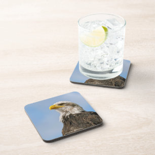 Bald Eagle Wildlife Portrait Art Coaster