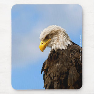 Bald Eagle Wildlife Portrait Art Mouse Pad