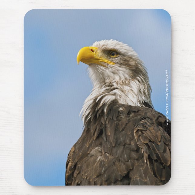 Bald Eagle Wildlife Portrait Art Mouse Pad (Front)