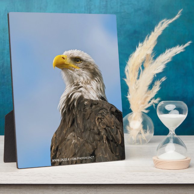 Bald Eagle Wildlife Portrait Art Plaque (Side)