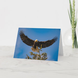 Bald Eagle Wings  Thank You Card
