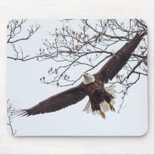 Bald Eagle Wingspread Mouse Pad