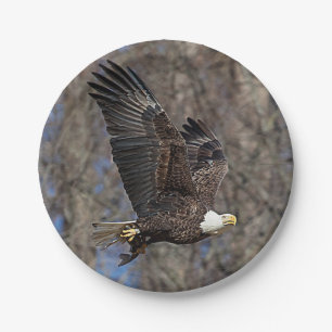 Bald Eagle with a Catfish Paper Plate