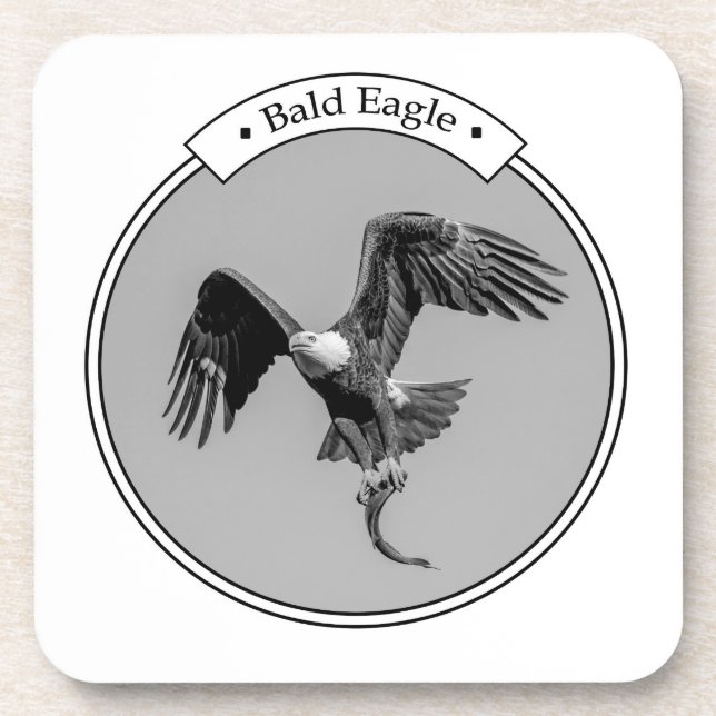 Bald Eagle with a fish Coaster (Front)