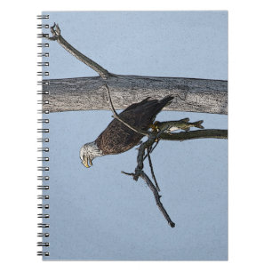 Bald Eagle with a fish Spiral Notebook