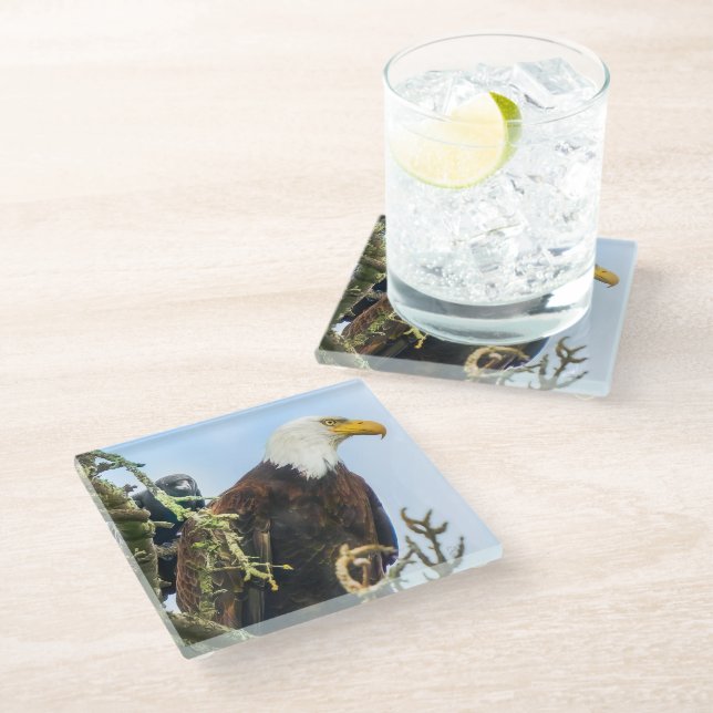 Bald Eagle with Crow Photobomb Funny Glass Coaster (Angled)
